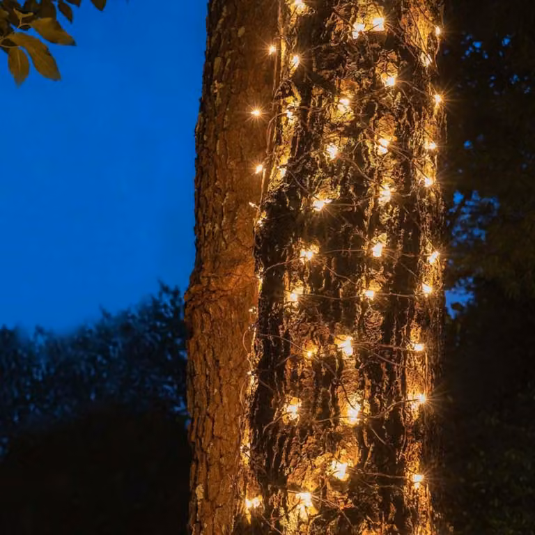 ACA Illuminazione natalizia a LED in rete, 50 LED bianco caldo, alimentatore incluso, espandibile fino a un massimo di 12 set, IP44, 55x80 cm, cavo verde + 5 ganci X0850111
