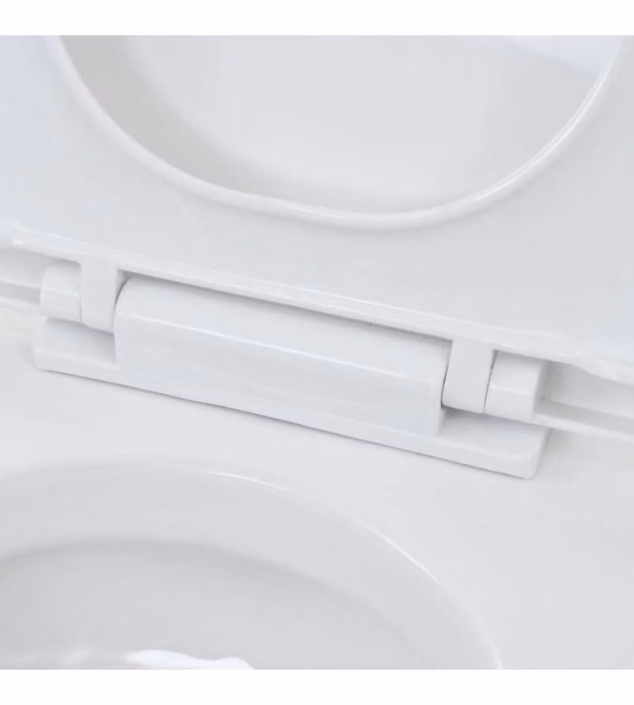 WC Sospeso con Sciacquone Alto Nascosto in Ceramica