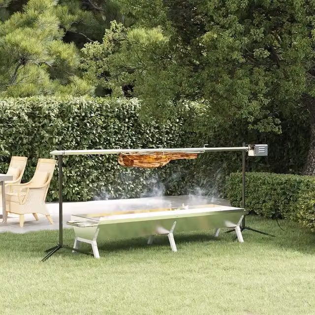 Set Griglia e Vassoio per Barbecue a Carbone VidaXL in Acciaio Inox Argento