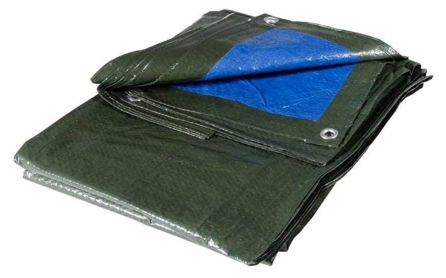 Omgoods - Telo impermeabile Verdelook M - Multiuso e impermeabile - 6x8 metri