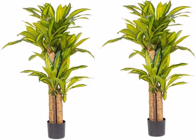 Set di 2 Piante Artificiali Dracaena Verdi di GIORDANOSHOP con Vasi, H 130 cm, Ø 100 cm