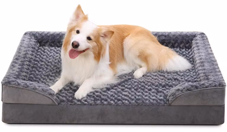 Letto ortopedico per cani, taglia XXL, grigio - Bordi rialzati per un maggiore comfort