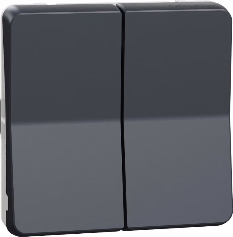 Mureva Styl - Pulsante doppio - componibile - IP55 - IK07 - grigio - SCHNEIDER ELECTRIC - MUR35326