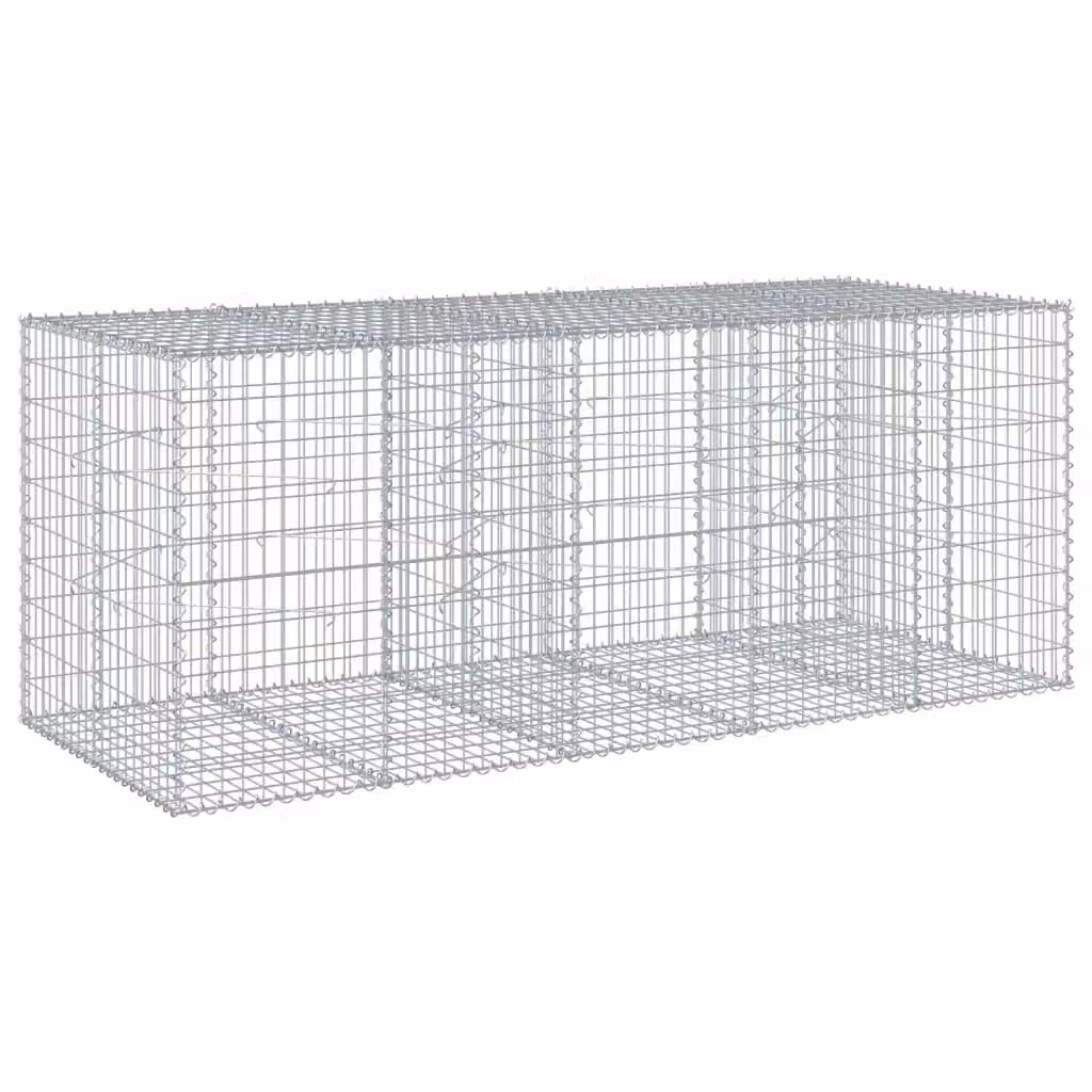 vidaXL Cesto Gabbione con Copertura in Ferro Zincato Argento L/P/H: 250 x 100 x 100 cm – 2