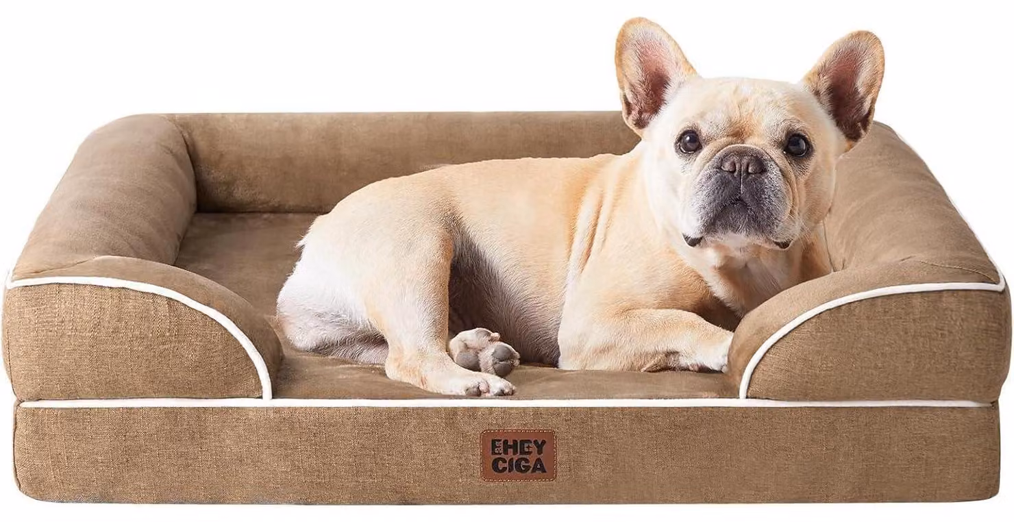 Cuccia ortopedica per cani, 76x51 cm, realizzata in memory foam, con bordo rialzato, lavabile, impermeabile, antiscivolo, marca "Kamel"