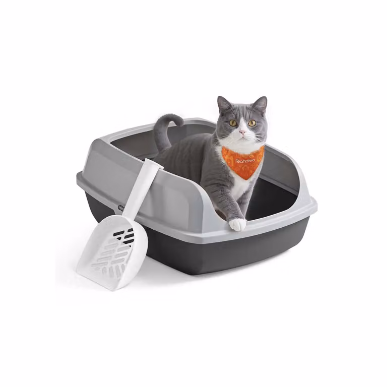 Lettiera per gatti con bordi alti e paletta integrata, Grigio Ardesia / XL (50,5L x 37,5l x 19,5H cm)
