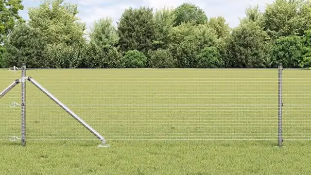 Recinzione in rete saldata con punte 50 x 0,6 m Acciaio zincato 3351991