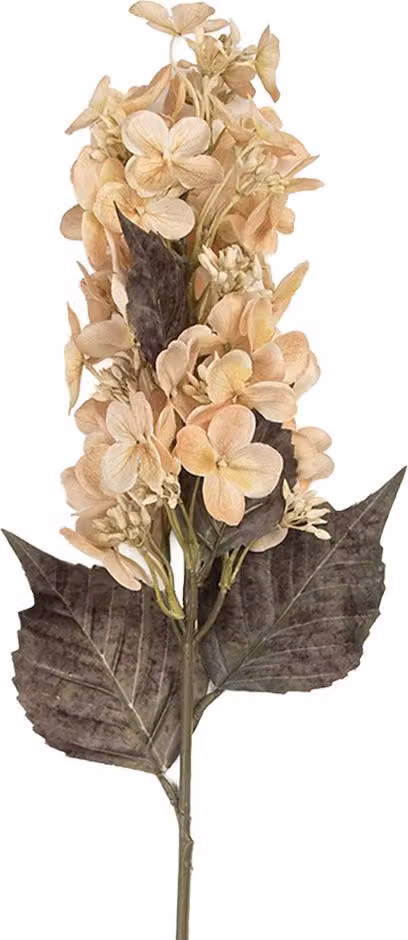 Clayre & Eef Ramo di decorazione 8x8x72 cm Plastica beige