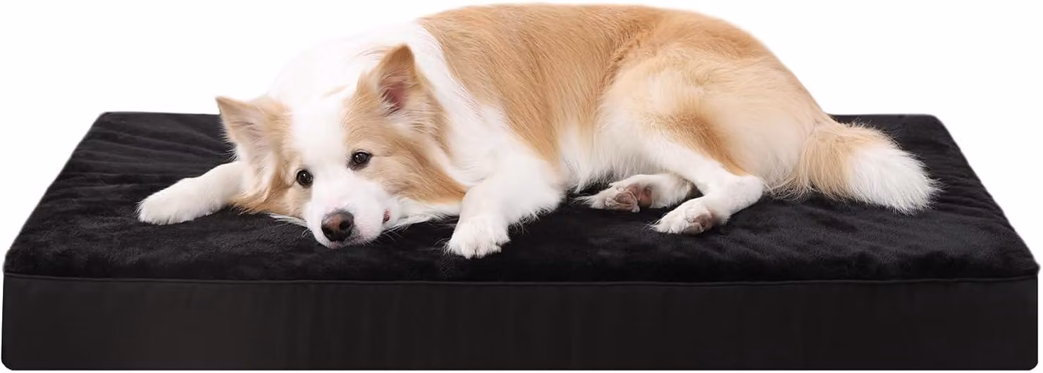 Cuccia per cani KSIIA, extra grande, lavabile. Cuccia ortopedica XXL per cani, con rivestimento impermeabile e removibile. Grande materasso piatto per cani
