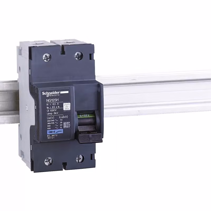 Interruttore automatico Schneider Electric NG125H, bipolare, 32 A, caratteristica C 18718