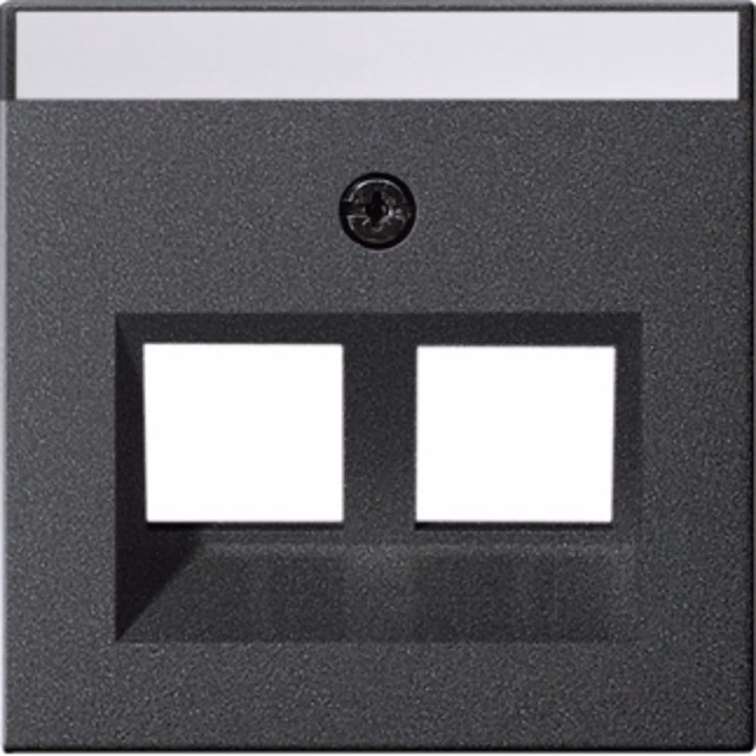 Gira cover Jack modulare 30Grd 2-gang anth 264028