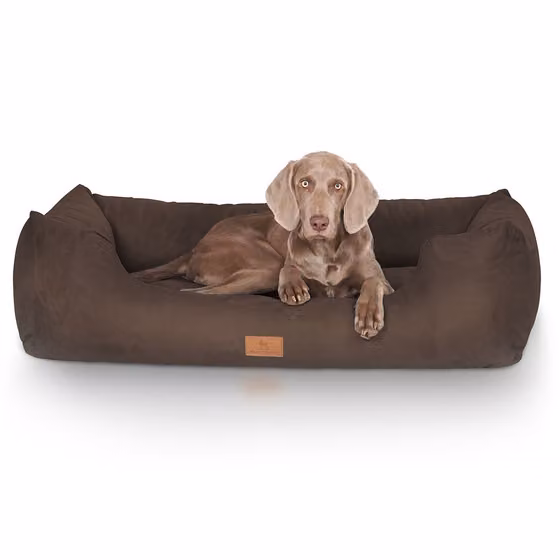 Cuccia per cani Dreamline XXXL - 155 x 105 cm | Marrone