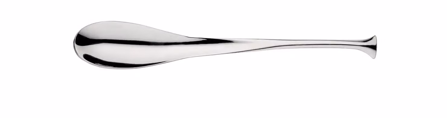 Cucchiaino Caffe' Dolphin, confezione da 12 pezzi