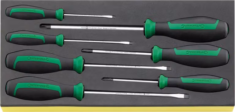 Set di inserti Tcs Stahlwille per cacciavite TCS 4620/4630