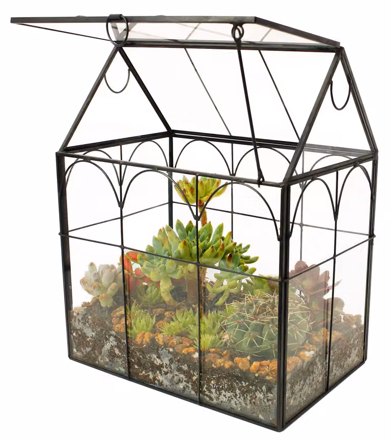 Terrario in vetro artigianale a forma di casa, con coperchio ribaltabile
