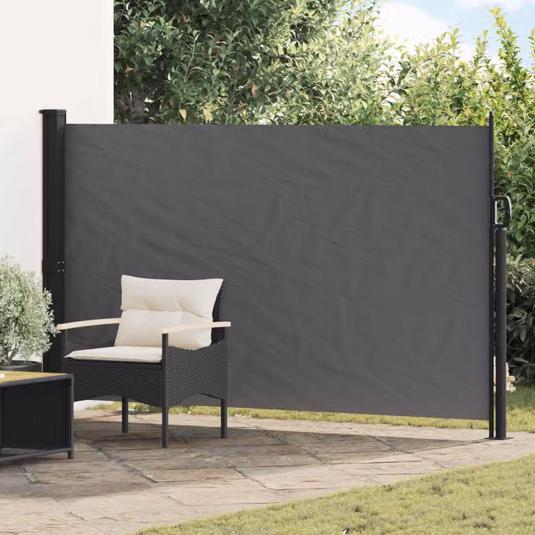 Tenda laterale retrattile vidaXL in poliestere e acciaio, colore antracite, L 300 cm x H 170 cm