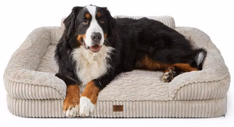 Cuccia ortopedica per cani di grandi dimensioni, colore beige, dimensioni 114x89x20 cm