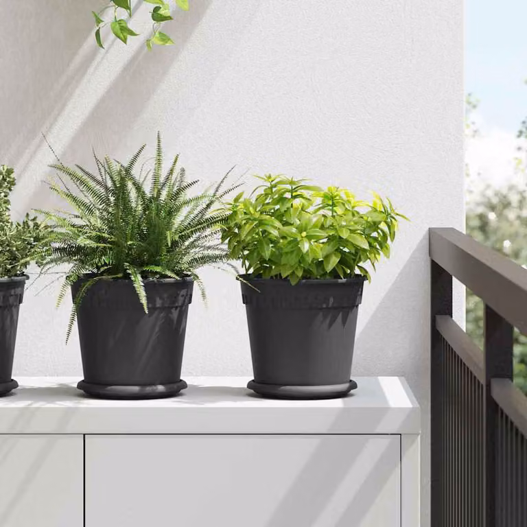 Set di 6 vasi rotondi vidaXL in plastica nera per piante da interno ed esterno, Ø 19 cm x H 16,5 cm