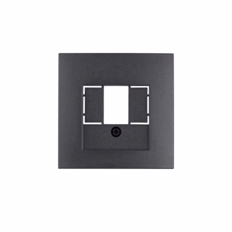 Placca centrale Berker anth/matt per presa TAE 10331606