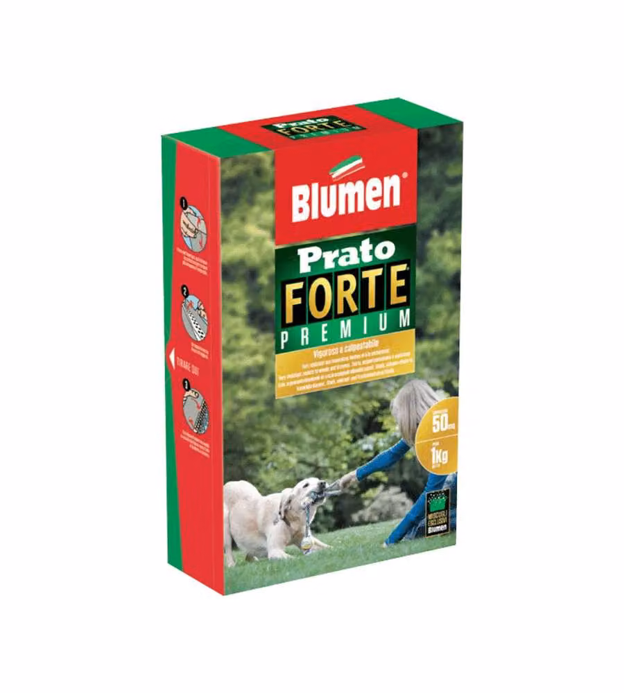 Blumen Semi Prato Forte 1 kg - Erba resistente al calpestio - Facile cura