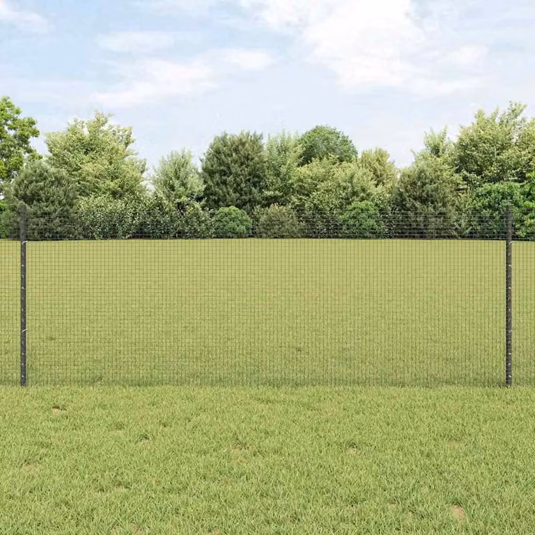 Maison Exclusive - Recinzione con Posto Grigio 0,8 x 10 m Acciaio e PVC