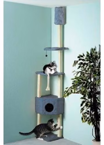 Albero per graffiare per gatti, modello "Cat Dream", colore blu