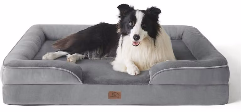 Cuccia ortopedica per cani, 89x63 cm, con imbottitura in schiuma a forma di uovo, lavabile, antiscivolo, grigia