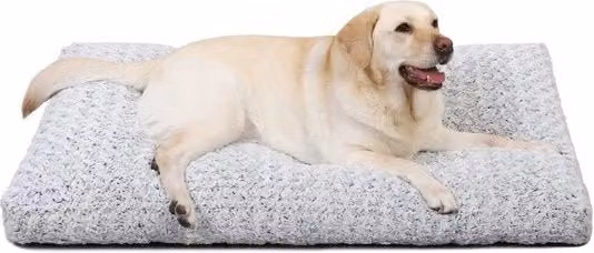 Letto per cani KSIIA XL con cuscino morbido e fondo antiscivolo, lavabile, grigio chiaro, L 105 cm x P 70 cm