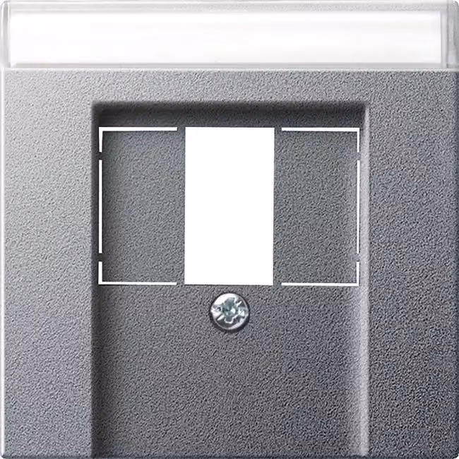 Gira 087626 Copertura BSF TAE+Stereo+USB Sistema 55 Colore alluminio