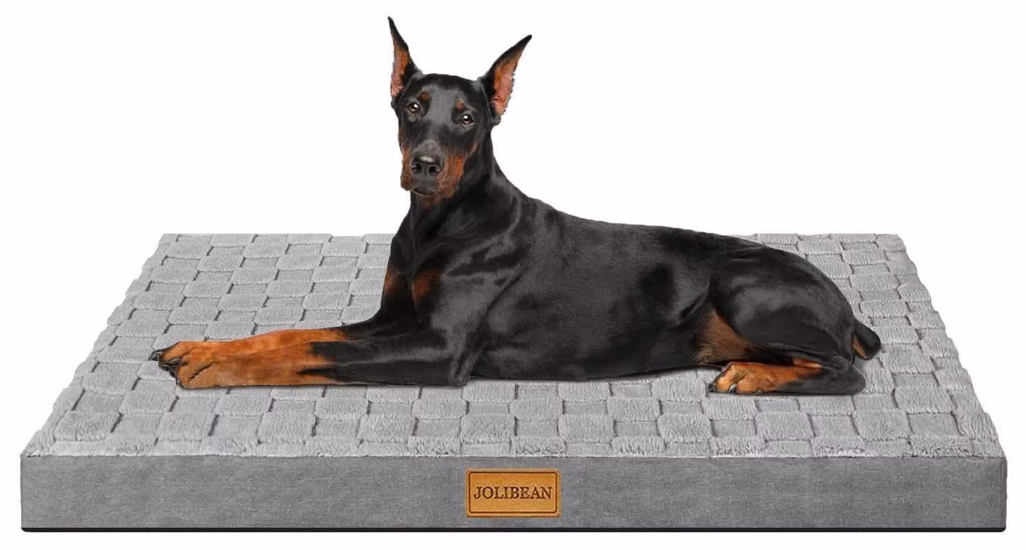 Cuccia ortopedica per cani, colore grigio, dimensioni 142x101x9 cm, con coperta rimovibile