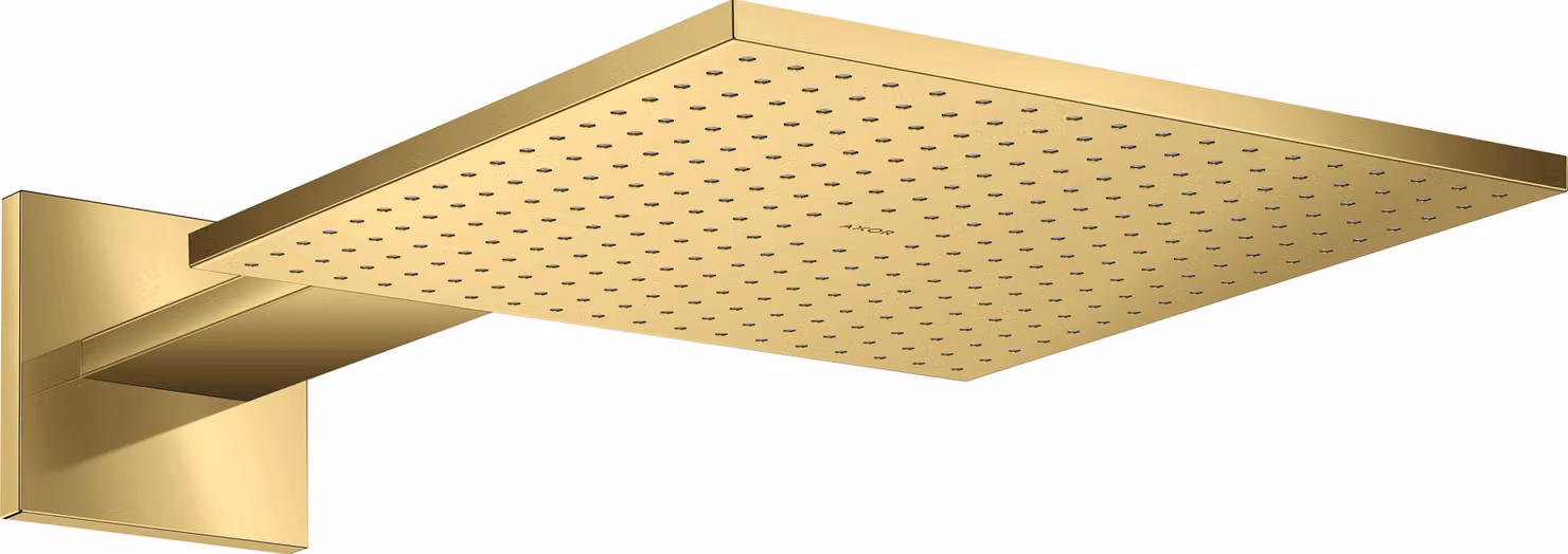 hansgrohe AXOR ShowerSolutions douche de tête de douche 300/300 2 jet, raccord mural, bras de douche 450 mm, 35318990, 35318990