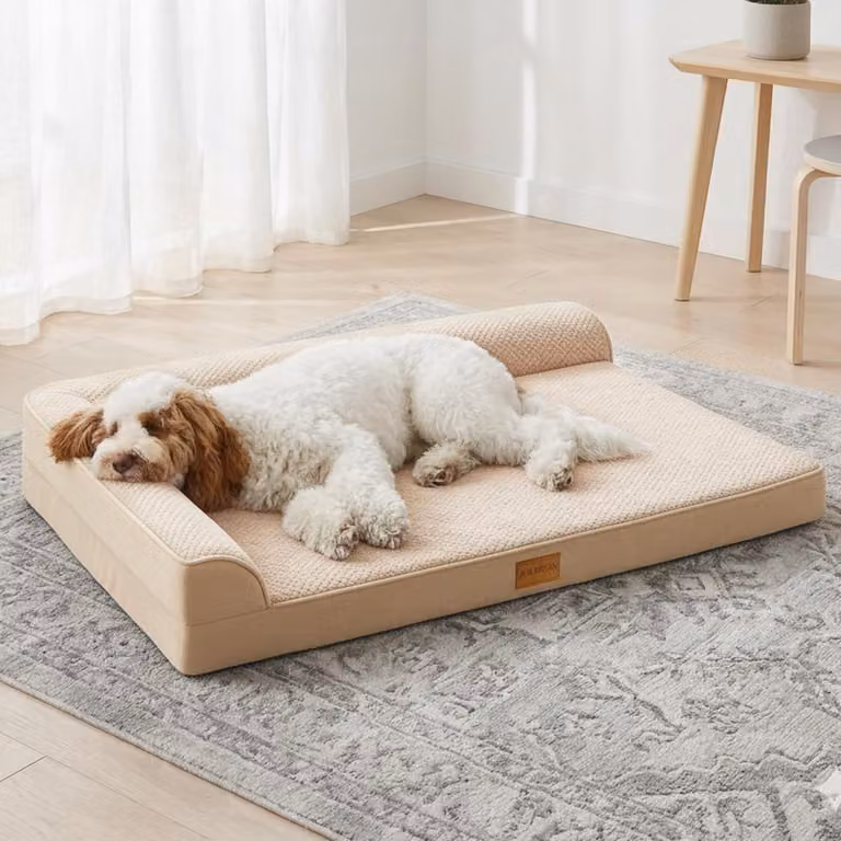 Solidchoice - Cuccia ortopedica XXL per cani, con coperta lavabile
