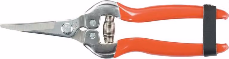 Forbici Strend Pro Premium 803AS, 185 mm, da giardino, per frutta, fiori e piante, curve