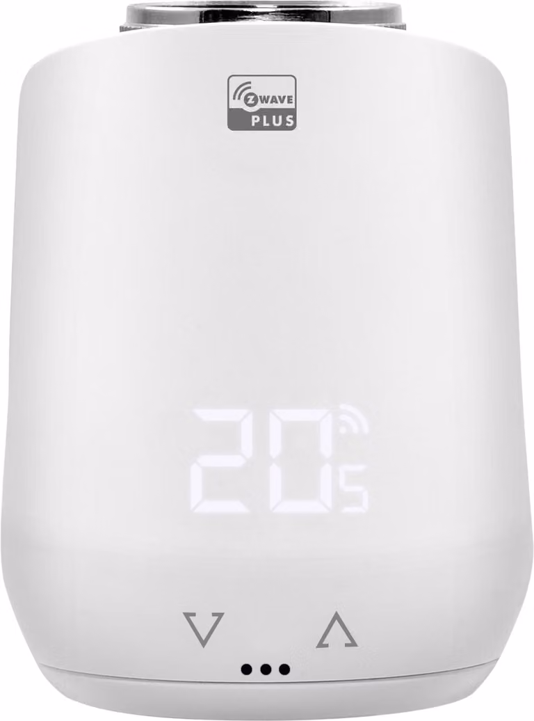 Termostato del radiatore 3