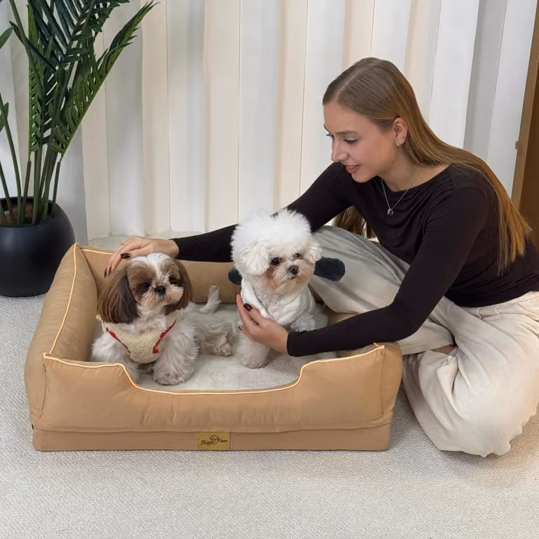 Letto per cani WISFOR, divano per cani, cuscino per cani, bordi rialzati, coprimento lavabile, dimensioni 77x63x18 cm