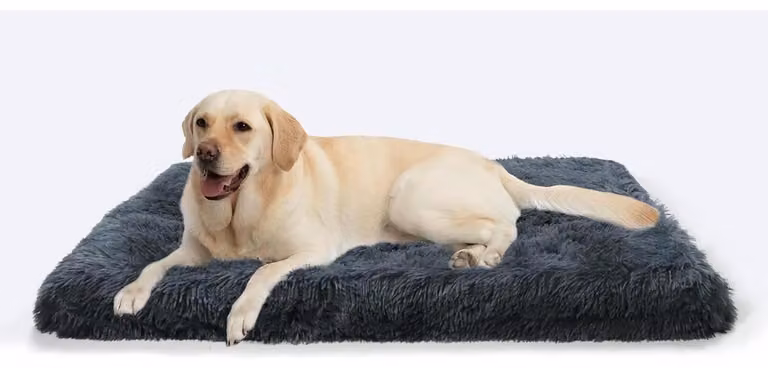 Cuccia per cani di grossa taglia, 100x60 cm. Materassino per cani in memory foam, colore grigio scuro