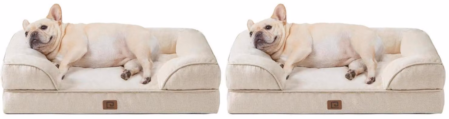 Cuccia ortopedica per cani, 76x51 cm, beige, confezione da 2