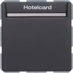 Berker 16406096 Interruttore a relè con elemento centrale per Hotelcard, antracite, con Berker Q.1/Q.3
