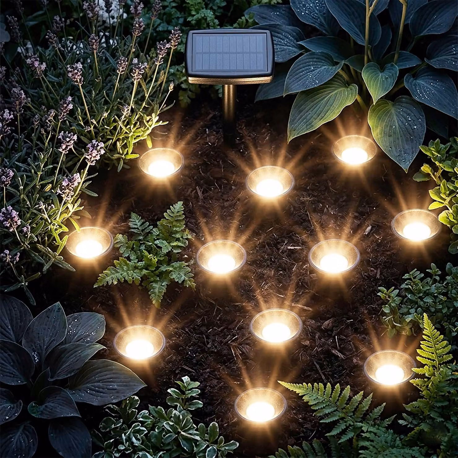 Faretto solare a LED per piante - 10 faretti / bianco caldo - Luci da giardino