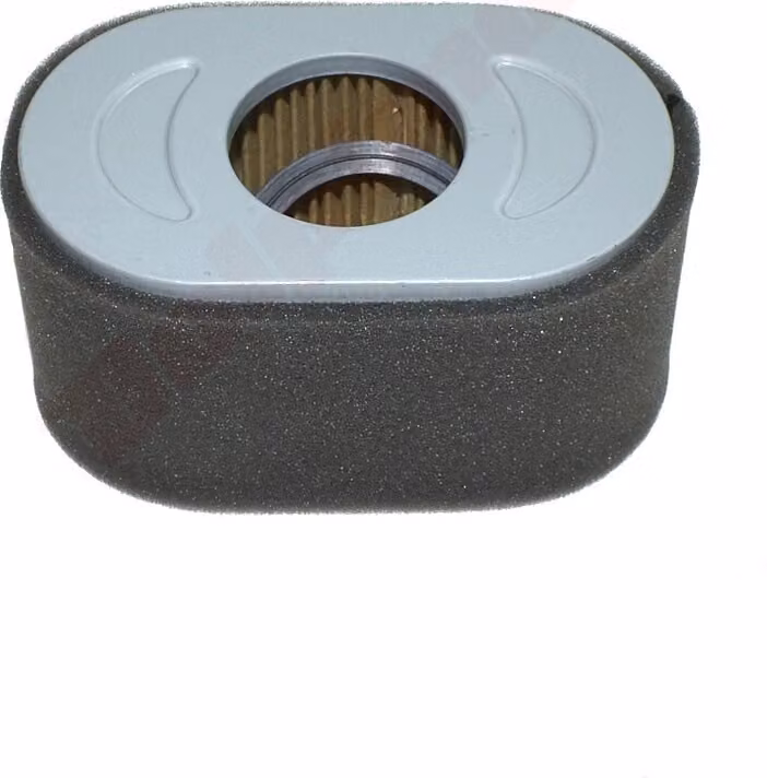 Filtro aria per B&S ( 797033 )
