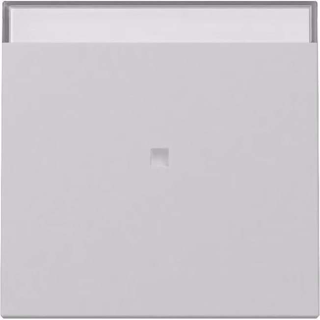 Gira Pulsante a bilanciere + BSF Sistema 55 Grigio m 3670015