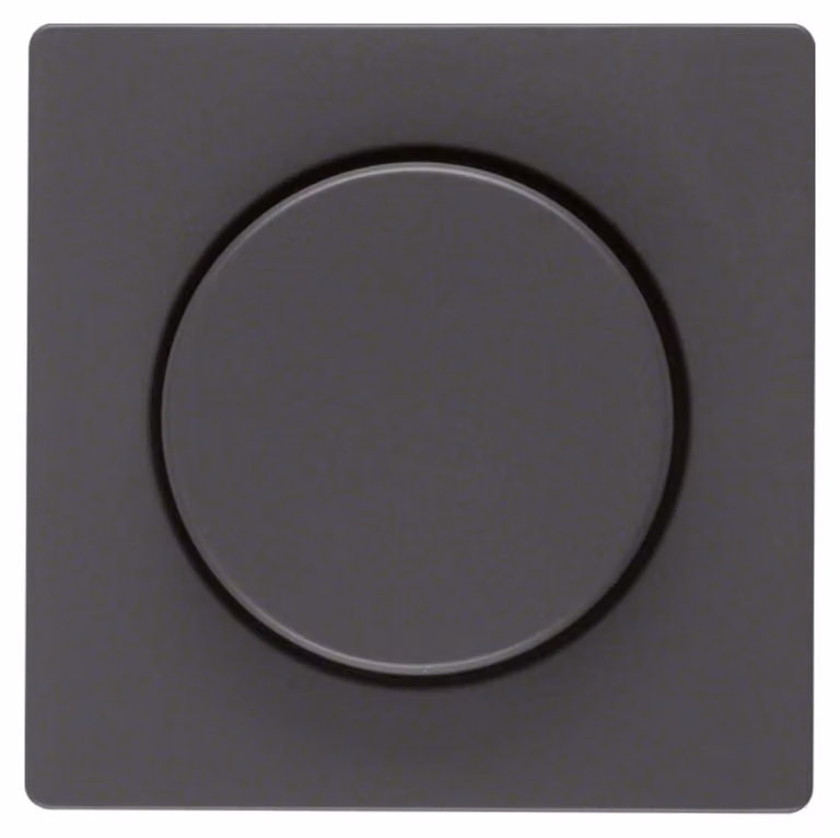 Berker Piastra centrale anth/sa f.dimmer rotante 11376086