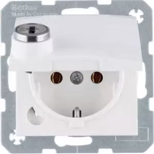 Berker 41638989, Tipo F, guida DIN, bianco, termoplastica, IP20, 250 V