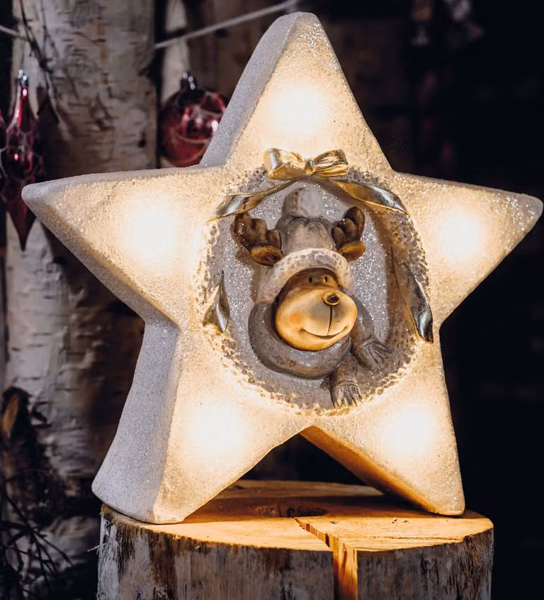 Figura a LED a forma di stella in Vetroceramica con motivo renna, decorazione illuminata per Natale e l'inverno, 5 LED