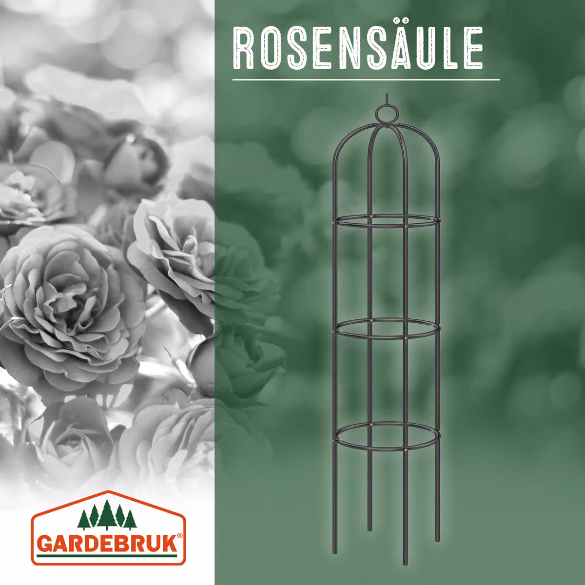 Obelisco Gardebruk® per rose e piante rampicanti in metallo nero, H: 200 cm, L: 40 cm – 2