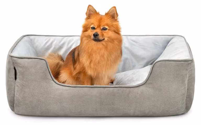 cuccia per cani lionto - cesto reversibile 2 in 1, morbidamente imbottito e di facile manutenzione, con ingresso basso, 80x60 cm, grigio chiaro/grigio scuro