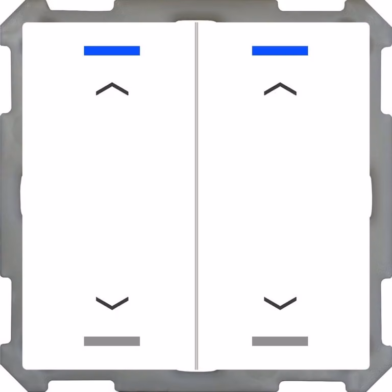 MDT technologies Luce a pulsante 63 2-fold RGBW,Studiows,glä BE-TAL6302.A1 (BE-TAL6302.A1)