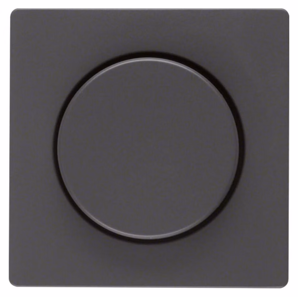Berker Piastra centrale anth/sa f.dimmer rotante 11376086