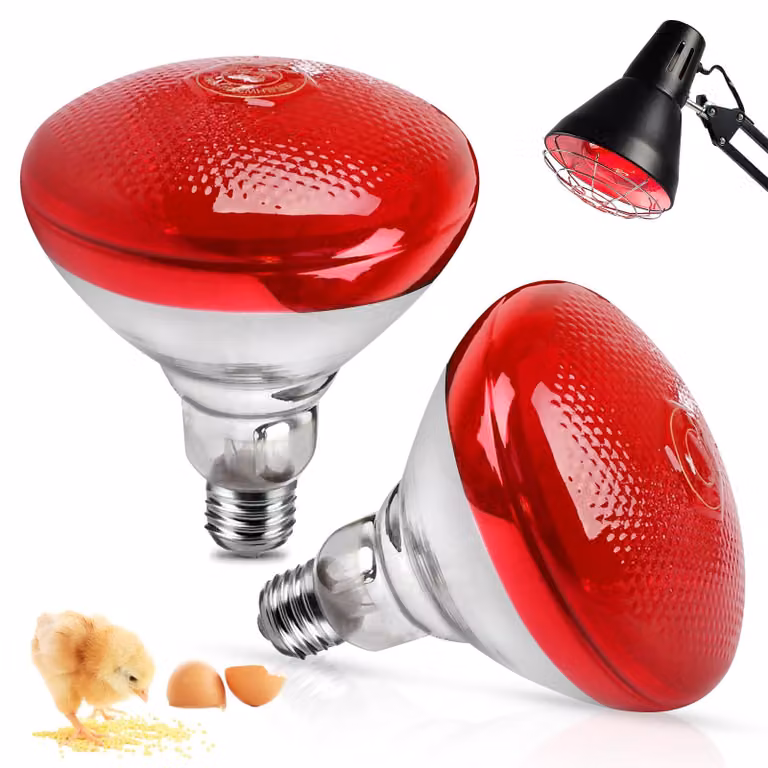 2 lampade a infrarossi da 150 W, adatte per polli, rettili e animali domestici