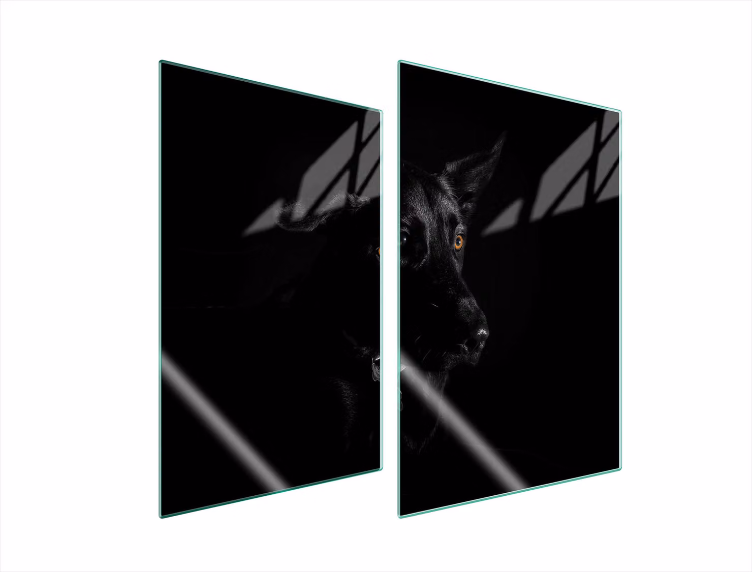 Piastre copri fornelli 2 pezzi 35x52 Vetroceramica copri piano cottura vetro tagliere cane nero